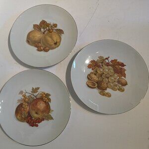 Harvest Plates 8" by Bareuther of Germany.Traditional Bavarian Vintage Serveware